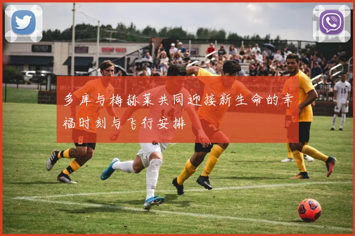 多库与梅赫莱共同迎接新生命的幸福时刻与飞行安排