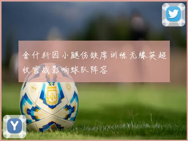 舍什科因小腿伤缺席训练无缘英超收官战影响球队阵容